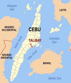 SEO in Talisay City, Cebu .